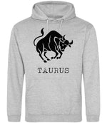 Taurus hoodie in heather grey