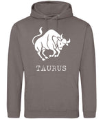 Taurus hoodie in mocha