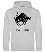 Taurus hoodie in moondust grey