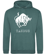 Taurus hoodie in moss green