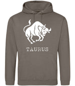 Taurus hoodie in natural clay
