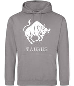 Taurus hoodie in platinum grey