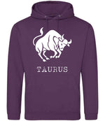 Taurus hoodie in plum