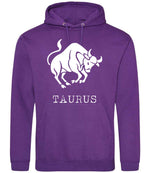 Taurus hoodie in purple