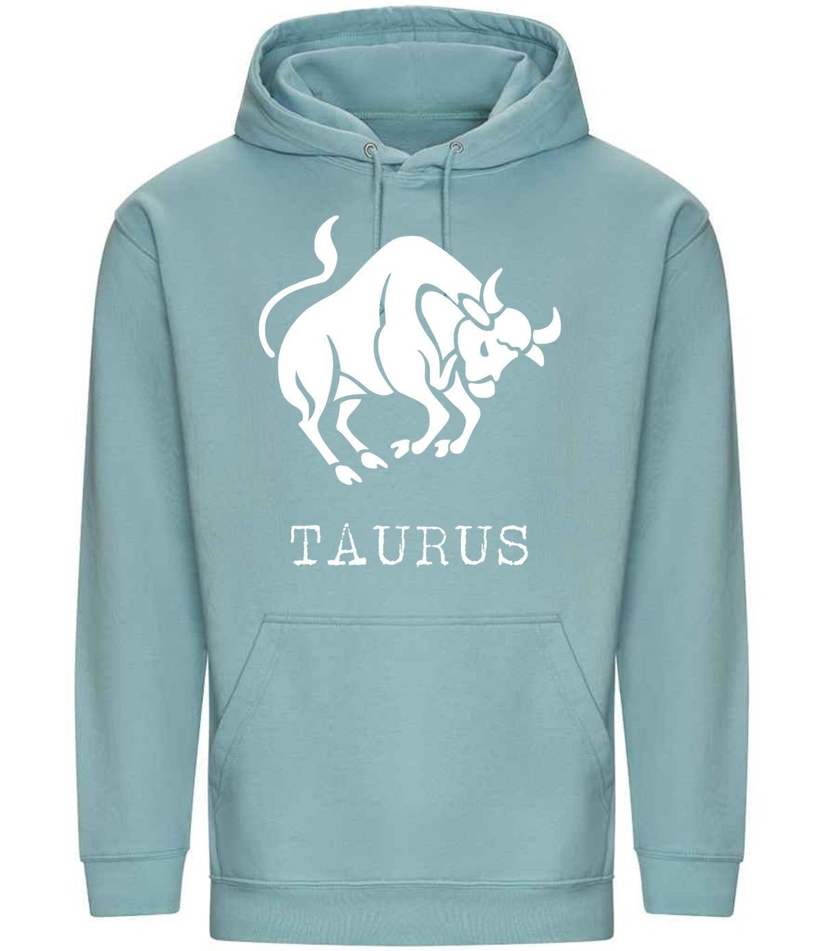 Taurus hoodie in seafoam