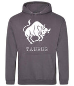 Taurus hoodie in steel grey