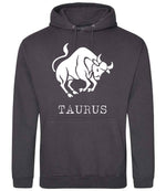Taurus hoodie in storm grey