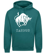 Taurus hoodie in teal