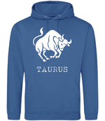 Taurus hoodie in tropical blue