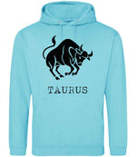 Taurus hoodie in turquoise surf