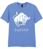 Taurus t-shirt in carolina blue