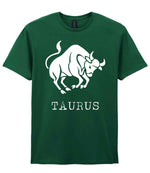 Taurus t-shirt in fan dark green