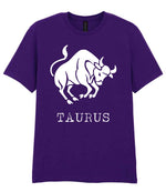 Taurus t-shirt in fan dark purple