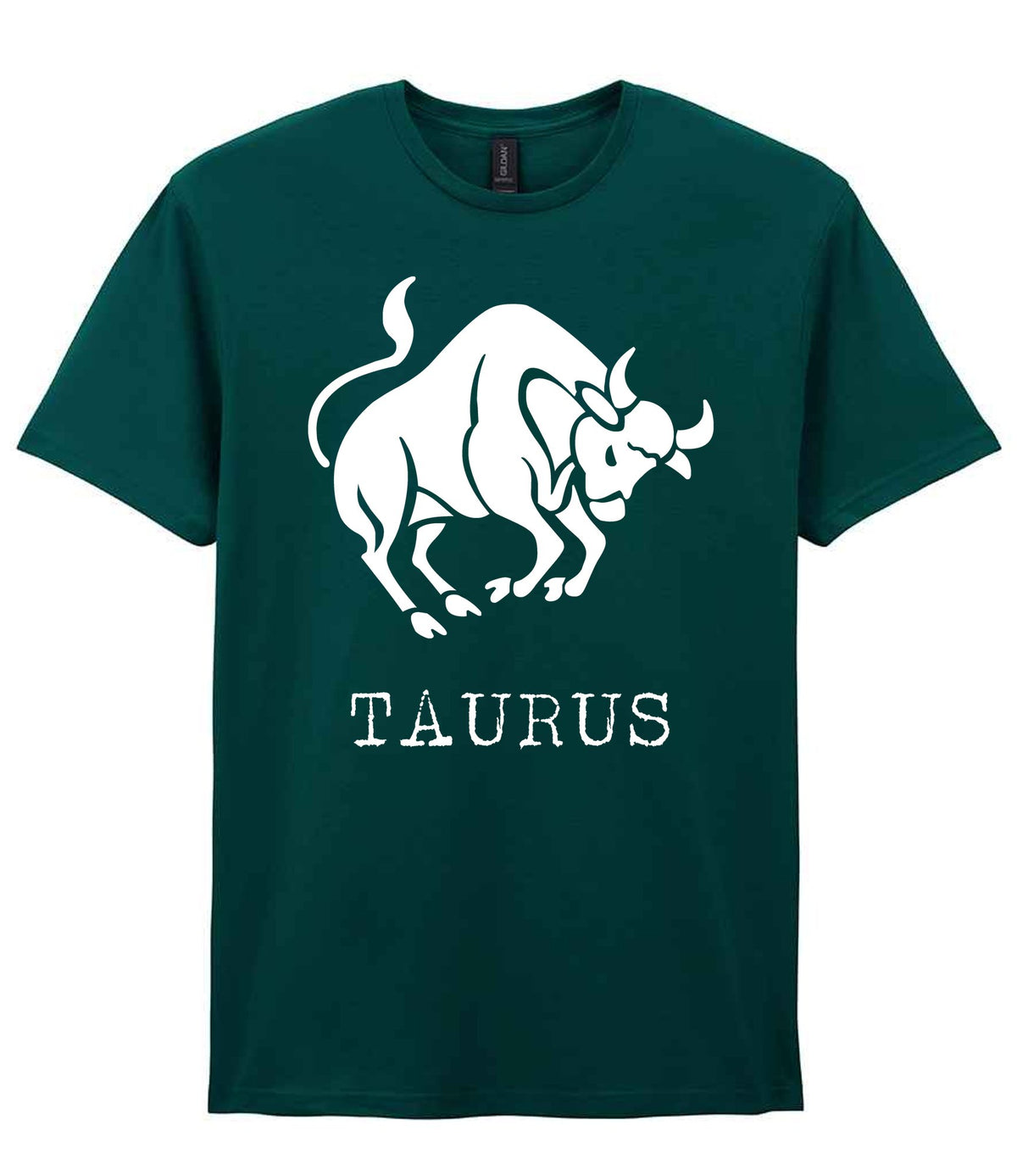 Taurus t-shirt in fan marine green