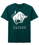 Taurus t-shirt in fan marine green