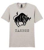 Taurus t-shirt in ice grey
