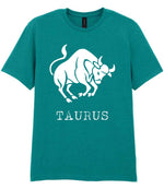 Taurus t-shirt in jade dome