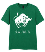 Taurus t-shirt in kelly green