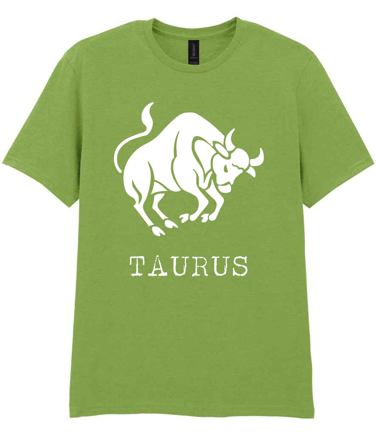 Taurus t-shirt in kiwi