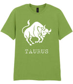 Taurus t-shirt in kiwi