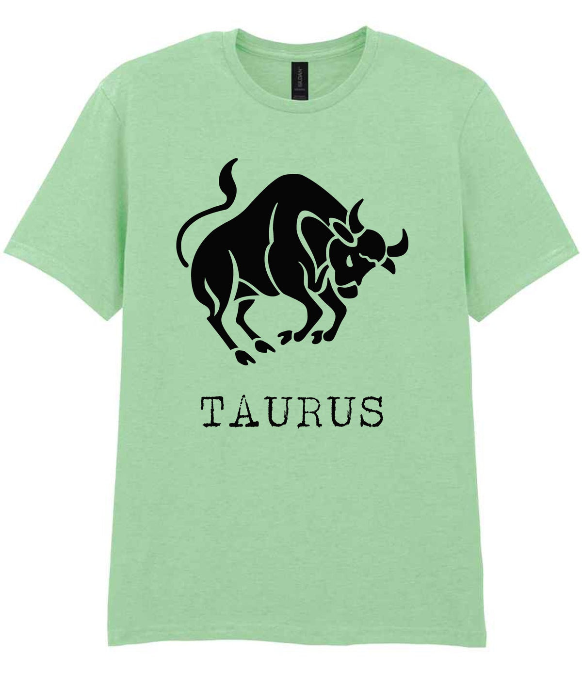 Taurus t-shirt in mint