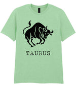 Taurus t-shirt in mint