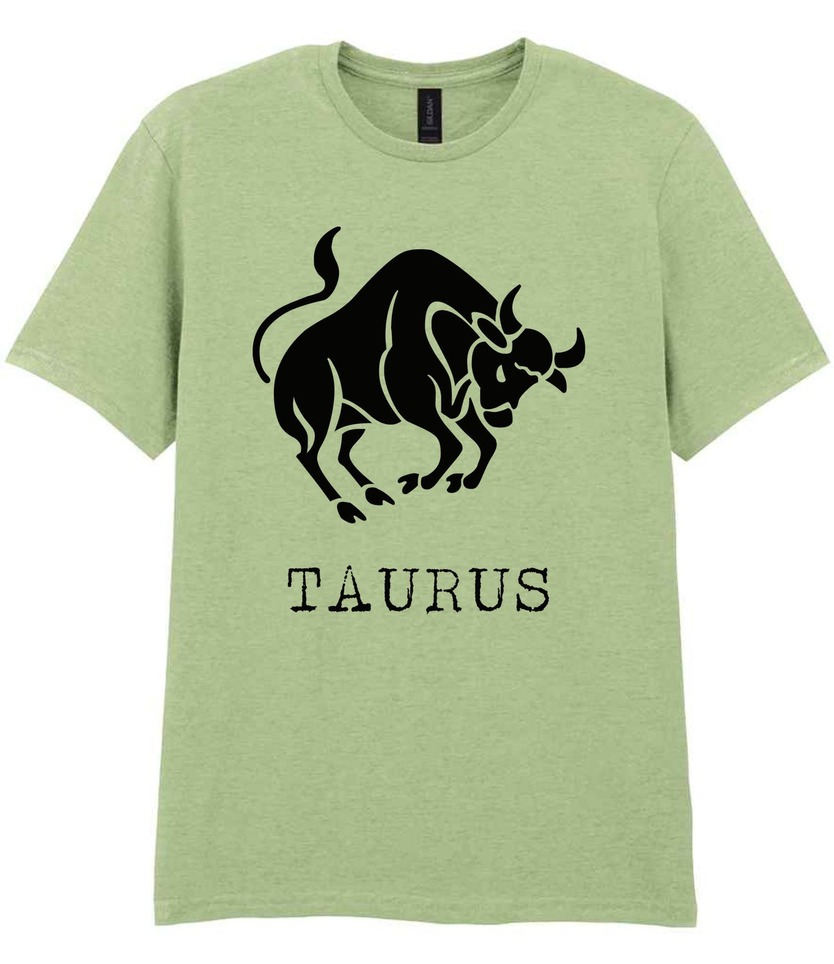 Taurus t-shirt in pistachio