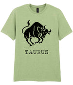 Taurus t-shirt in pistachio