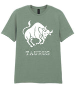 Taurus t-shirt in sage