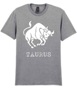 Taurus t-shirt in sport grey