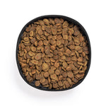 Poppy Foldable Pet Bowl – Sustainable and Practical