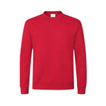 Sendex Sweatshirt – Sustainable Unisex Adult Sweatshirt in Ireland