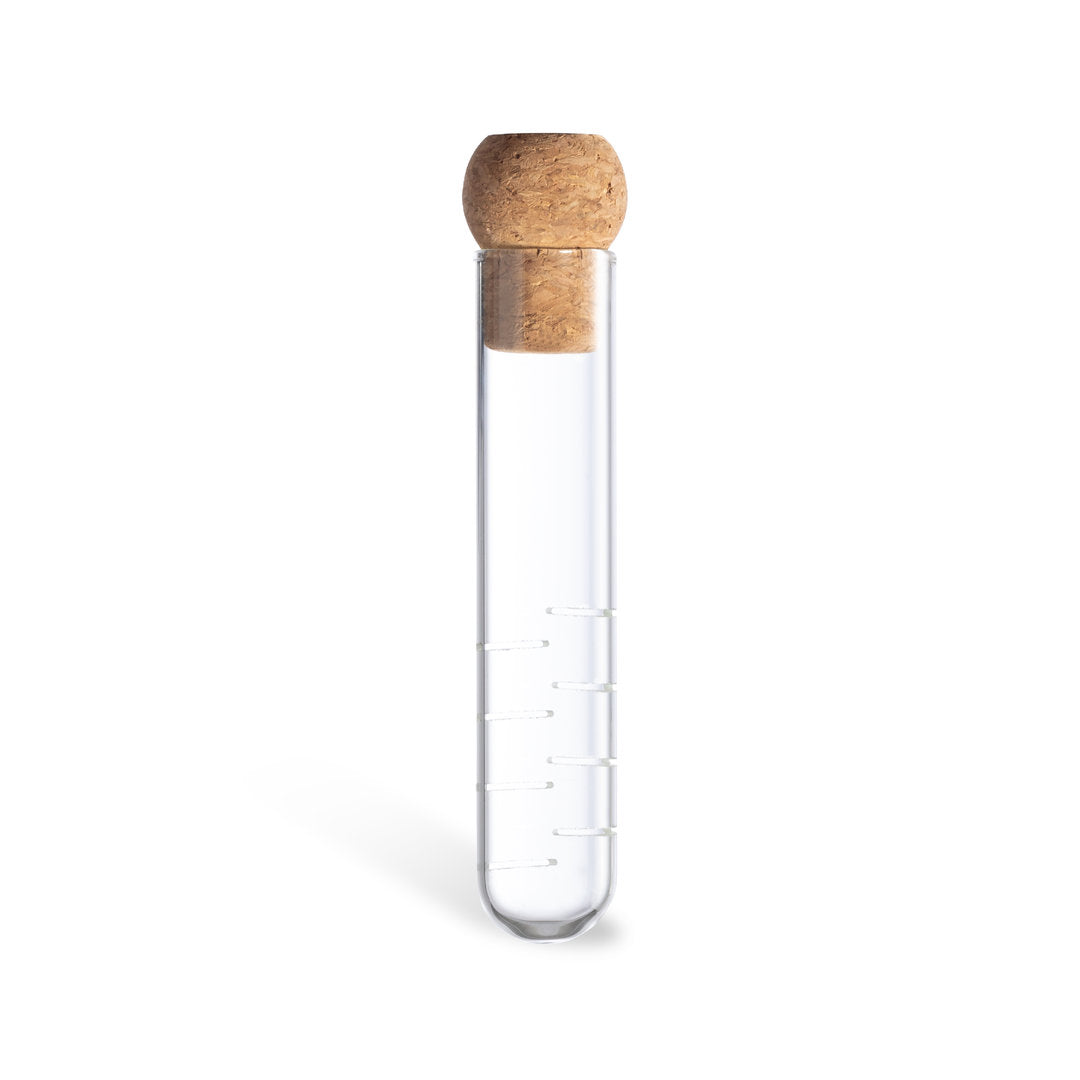 Hanay Glass Infuser – Sustainable Home and Decoration