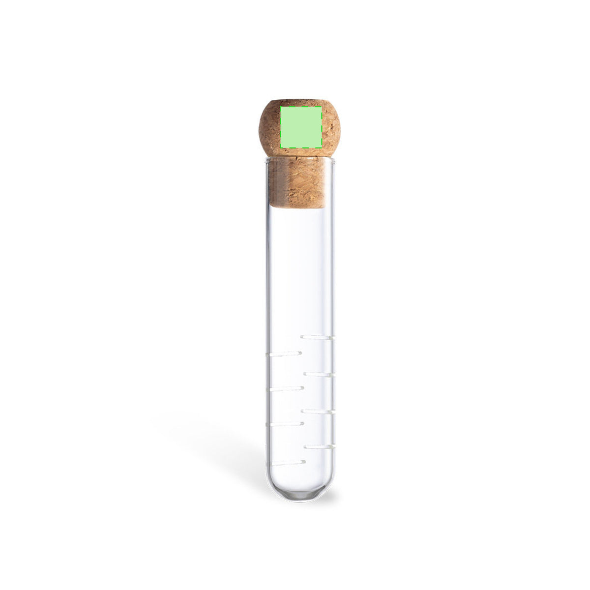 Hanay Glass Infuser – Sustainable Home and Decoration