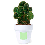 Konte Sustainable Pot – Eco-Friendly Promotional Gift from Fou Tees Ireland