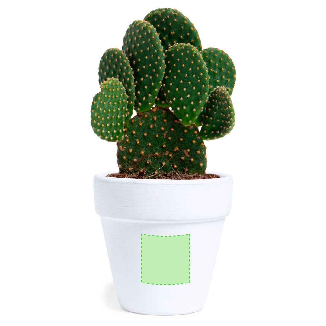Konte Sustainable Pot – Eco-Friendly Promotional Gift from Fou Tees Ireland