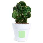 Konte Sustainable Pot – Eco-Friendly Promotional Gift from Fou Tees Ireland