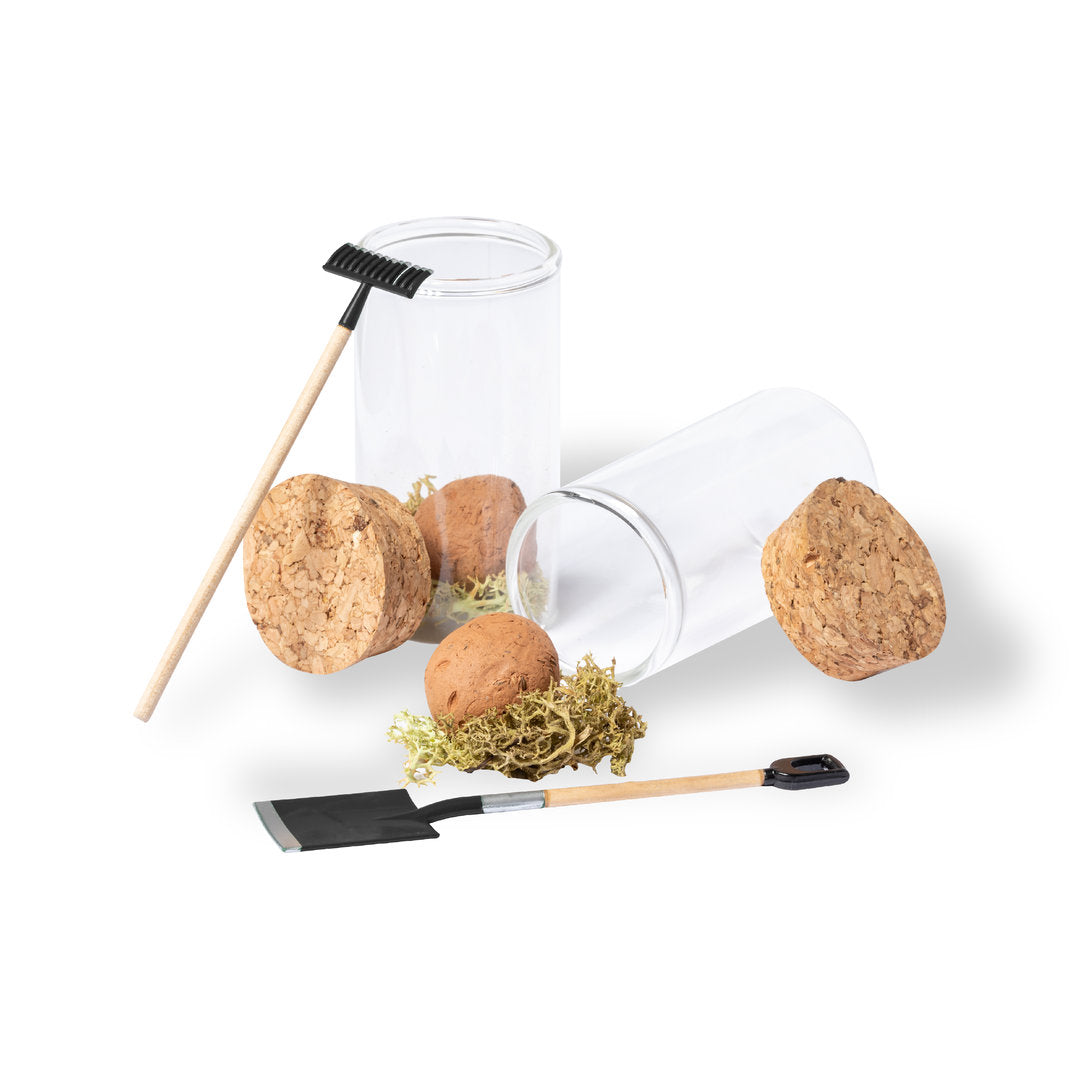 Winsu Seed Bonbon – Sustainable Promotional Gift from Fou Tees Ireland