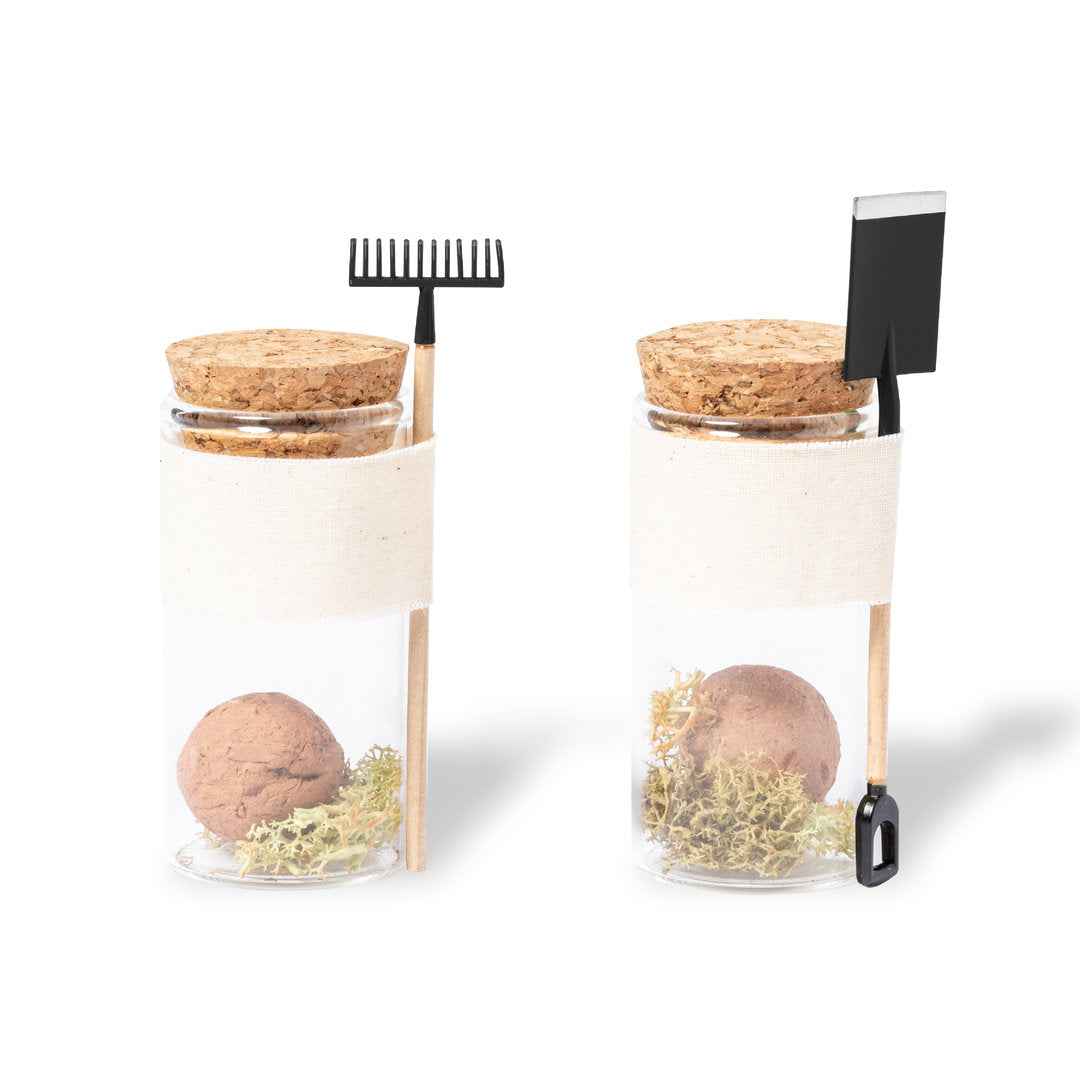 Winsu Seed Bonbon – Sustainable Promotional Gift from Fou Tees Ireland