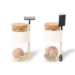Winsu Seed Bonbon – Sustainable Promotional Gift from Fou Tees Ireland