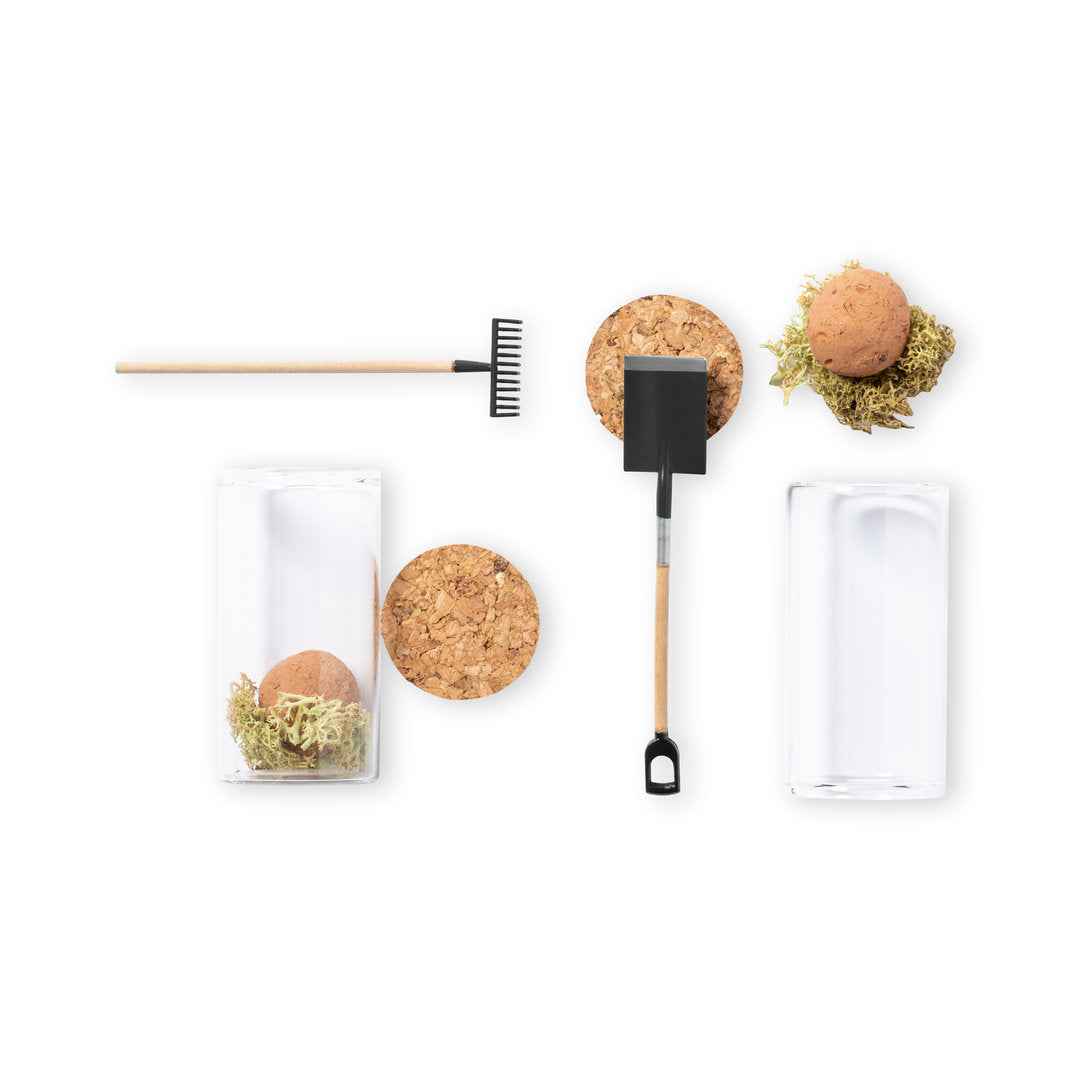 Winsu Seed Bonbon – Sustainable Promotional Gift from Fou Tees Ireland