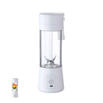 Fruver Blender – Durable ABS Material with 380ml Capacity