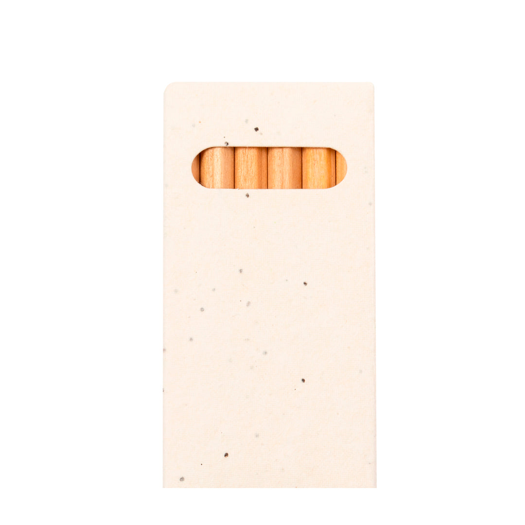 Delar Pencils Bulk Order - Sustainable Wooden Pencils with Plantable Box