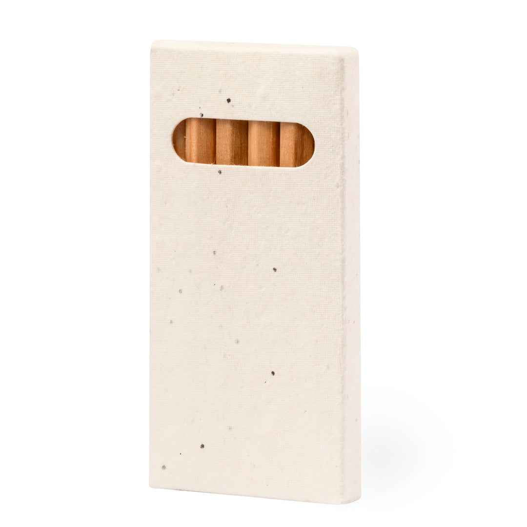 Delar Pencils Bulk Order - Sustainable Wooden Pencils with Plantable Box