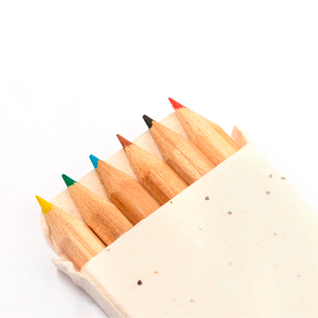 Delar Pencils Bulk Order - Sustainable Wooden Pencils with Plantable Box