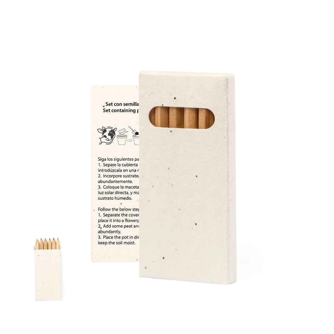Delar Pencils Bulk Order - Sustainable Wooden Pencils with Plantable Box