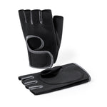 Scot Sports Gloves – Comfortable and Breathable for Various Disciplines