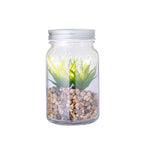 Kyala Decorative Plant – Elegant LED-lit Glass Ornament for Businesses and Events