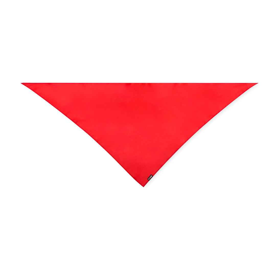 Wasat Recycled Polyester Bandana – Sustainable and Versatile