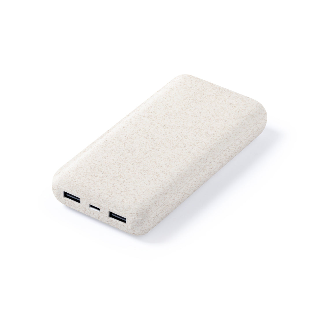 Golblum External Battery – Sustainable Power Solution for Irish Businesses